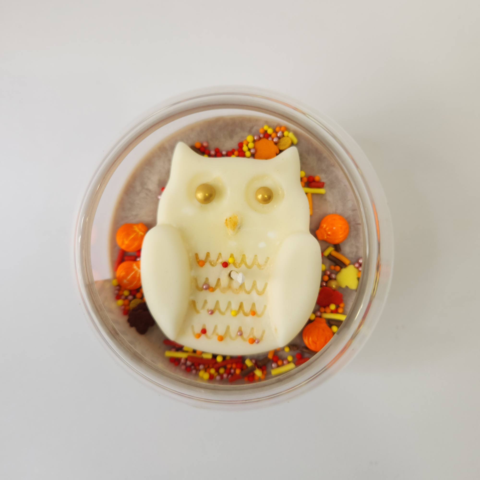 OWL-TUMM Soy Candle – Pumpkin Gingerbread | Limited Autumn Edition